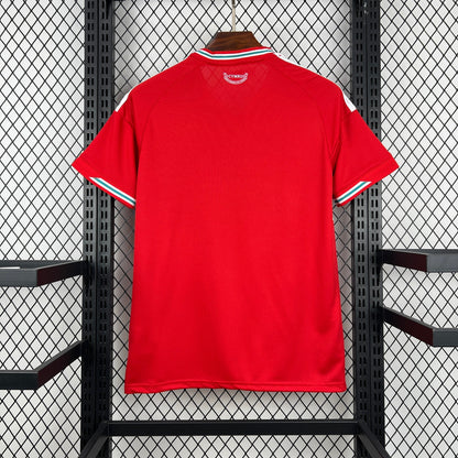 2026 Wales Home World Cup Jersey