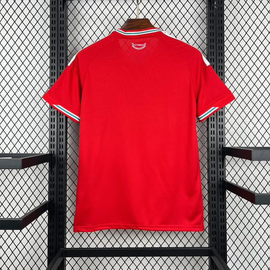 2026 Wales Home World Cup Jersey