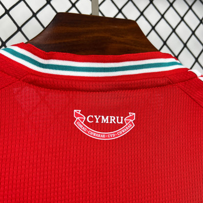 2026 Wales Home World Cup Jersey
