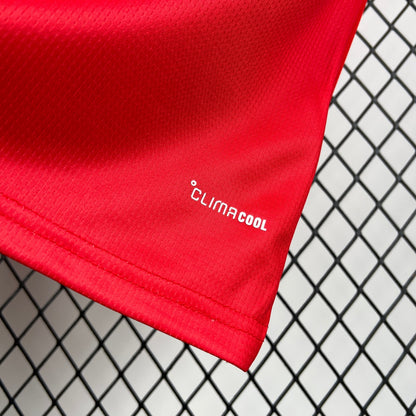 2026 Wales Home World Cup Jersey
